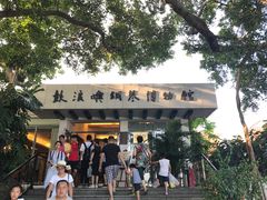 -鼓浪屿钢琴博物馆