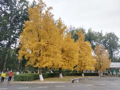 -中国农业博物馆
