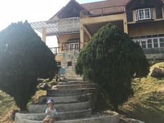 -黄色小屋