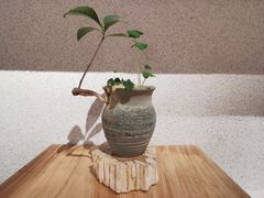 -觅见咖啡馆(艺展中心店)