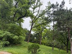 -元大都城垣遗址公园