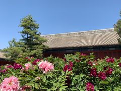 -大钟寺古钟博物馆