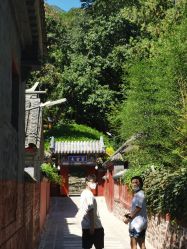 -聚美荟科技护肤