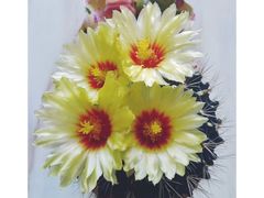 -威海华夏城景区