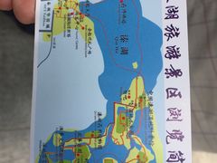 -溱湖国家湿地公园
