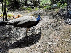 -华雅花园大酒店