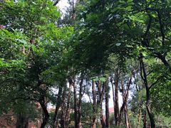 -广东外语外贸大学(白云山校区)