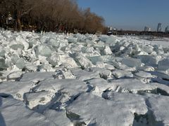 -长春市南湖公园