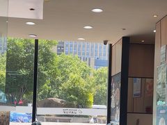 -达美乐比萨(东新路店)