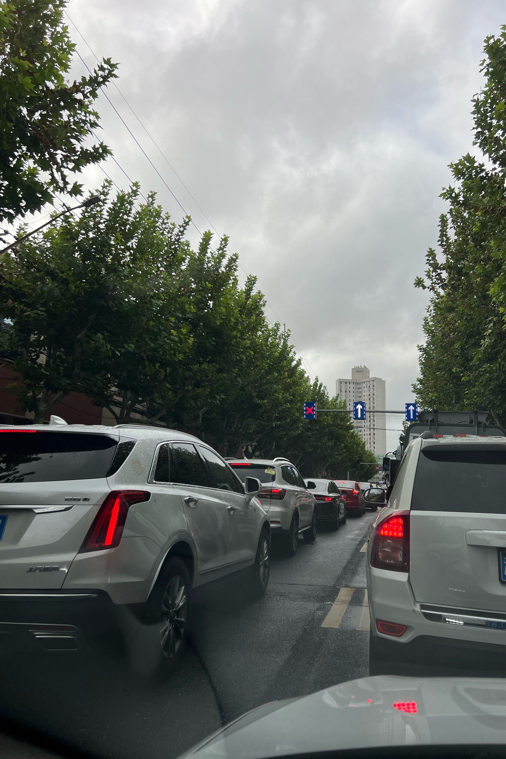 忙碌雨天出行 堵车了吗