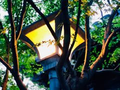 -桂林公园(地铁站)