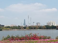 -海珠湖公园