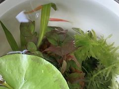 -双季花艺园艺市场(浦东店)