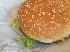 本宫凤堡-麦当劳(红旗路店)