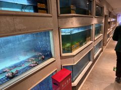 -顺峰(农展馆店)