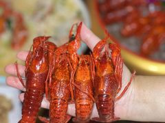 -虾乐园龙虾·夜宵(松江店)
