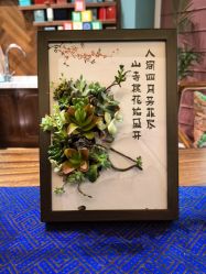 -娇玫荟SPA