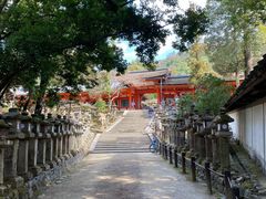 -奈良公园