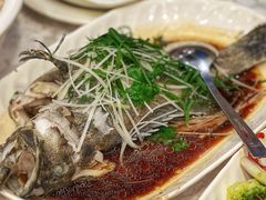 石斑鱼-德记潮州菜馆(卑路乍街)