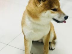 -乐宠宠物店(世纪金源店)