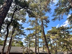 -承德避暑山庄景区