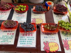 -马陆小张葡萄园农家乐