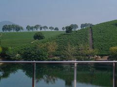 -帐篷客·溪龙茶谷度假酒店