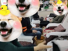 -郑远元专业修脚房·按摩·肉刺·灰指甲(天润城八街区店)