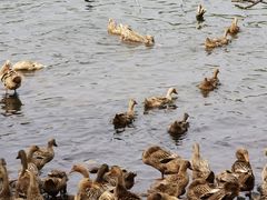 -淇河国家湿地公园