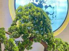 -享月汤皇·海鲜小火锅·聚会(曲江创意谷店)