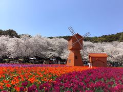 -苏州上方山国家森林公园