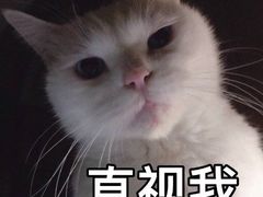 -千代武日本料理(哈西店)