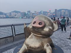 -星光大道