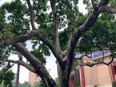-广州中山纪念堂