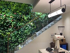 -Peet's Coffee皮爷咖啡(大学路店)