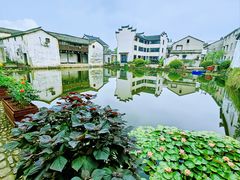 -东梓关景区村庄