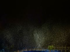 -禅宗少林·音乐大典