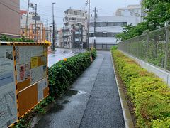 -涩谷全向十字路口