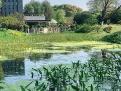 -玄武湖景区-情侣园游乐场