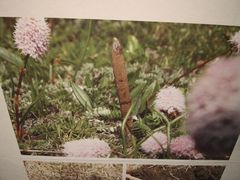 -青藏高原自然博物馆