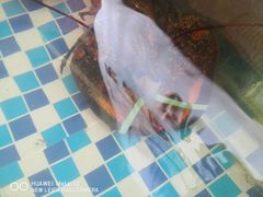 -87号烧烤海鲜·大排档(金沙滩店)