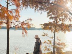 -上海海湾国家森林公园