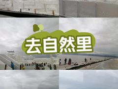 -茶卡盐湖