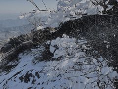 -东白山