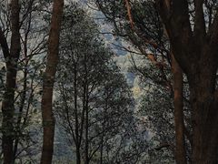 -西湖风景区十里琅珰-五云山