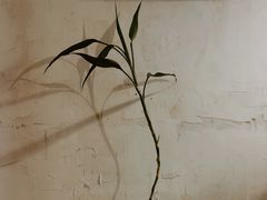 -春庄咖啡SpringHues(钟楼小区店)