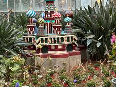 -南宫五洲植物乐园