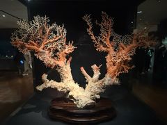 -台北故宫博物院