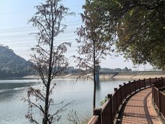 -水濂山森林公园