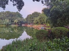 -晓港公园